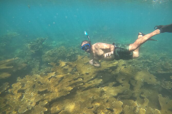 Coral Reef Snorkel Adventure with Photos and Videos - Water clarity is the biggest variable