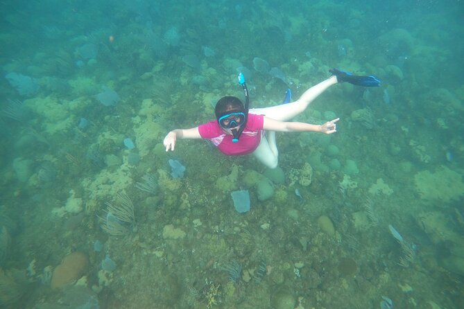 Coral Reef Snorkel Adventure with Photos and Videos - Photos and videos: a useful bonus with limits