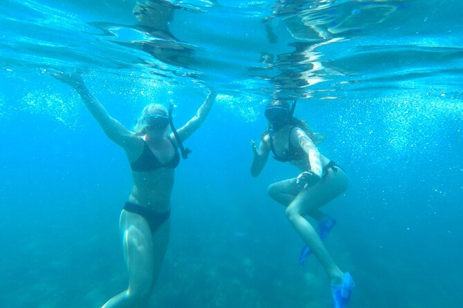 Coral Reef Snorkel Adventure with Photos and Videos - What the $50 price really covers