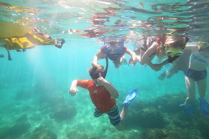 Coral Reef Snorkel Adventure with Photos and Videos - Who will enjoy this most