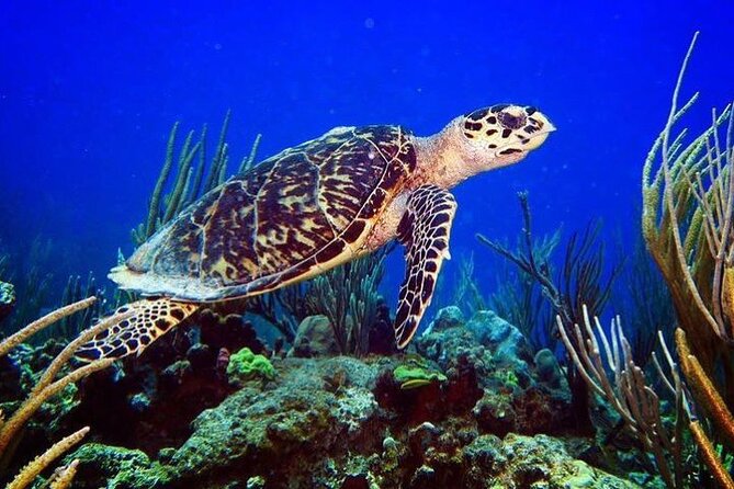 Culebra Snorkel and Beach Day with Lunch and Drinks - How weather can reshape the whole day