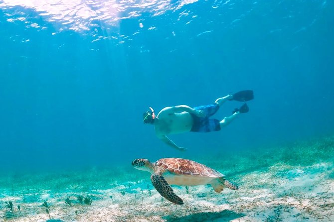 Culebra Snorkel and Turtle Adventure with Transport - The early start at Ceiba Ferry Terminal