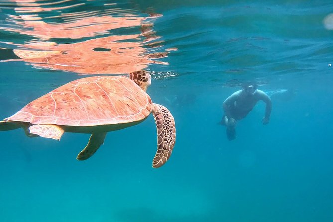 Culebra Snorkel and Turtle Adventure with Transport - Seeing Culebra by minibus before snorkeling