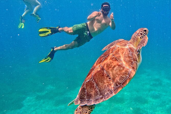 Culebra Swim with Turtles Adventure and Flamenco Beach by Ferry - A very long day from Ceiba to Culebra