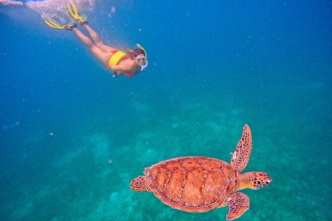 Culebra Swim with Turtles Adventure and Flamenco Beach by Ferry - What to pack for comfort and safety