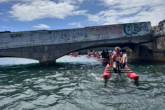 Day Adventure Chiliboats Waterbike – Condado Lagoon - Wildlife can be part of the ride