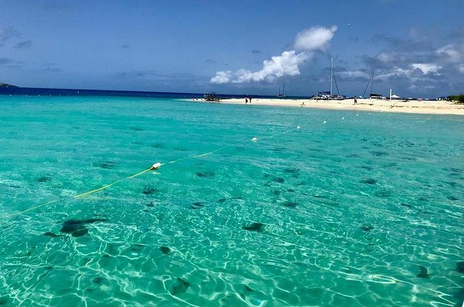 Day Sail with Transportation from San Juan, Condado or Isla Verde!! - From San Juan to Fajardo by included transport