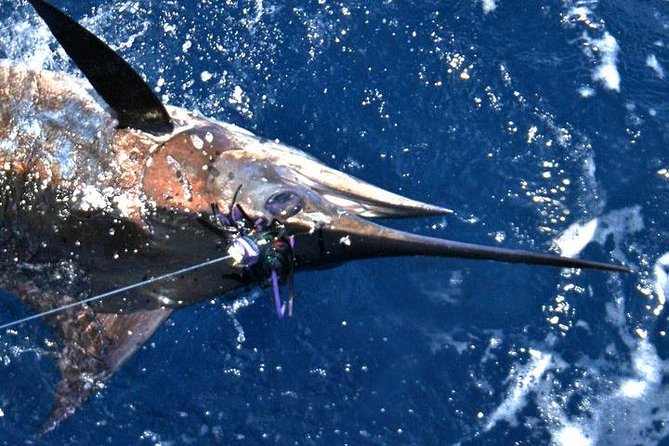 Deep Sea Fishing Private Boat Charter in San Juan - Who will get the most from this charter
