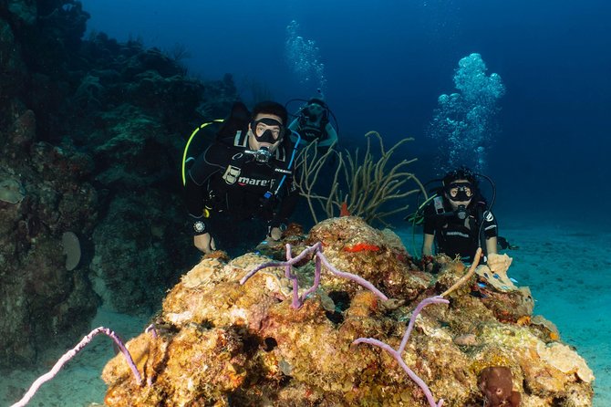 Discover Culebra: 2-Tank Scuba Diving - Key points to know before booking