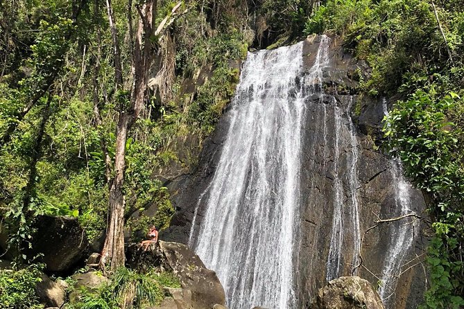 Discover El Yunque National Park: Half-Day Rainforest Tour - Why this half-day tour works for a first look at El Yunque