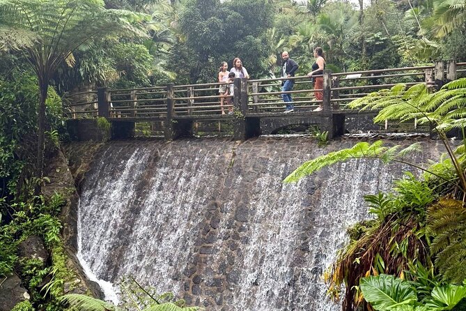 Discover El Yunque National Park: Half-Day Rainforest Tour - La Coca Falls: an easy 85-foot photo stop