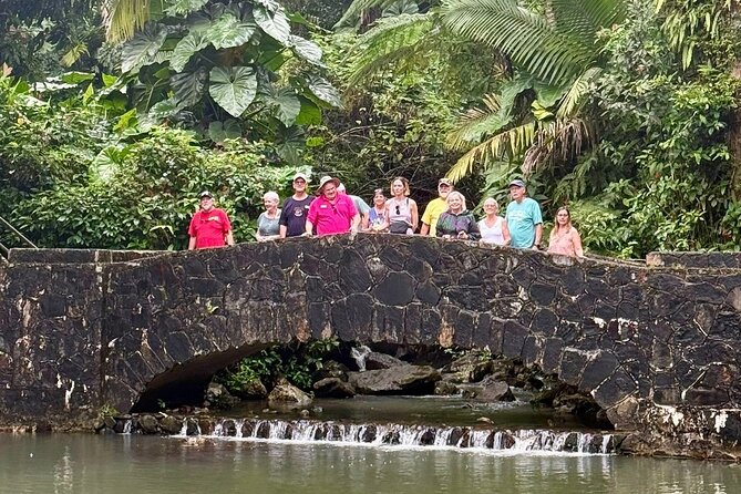 Discover El Yunque National Park: Half-Day Rainforest Tour - The guides make the difference