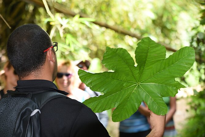 Discover El Yunque National Park: Half-Day Rainforest Tour - Is $115 a fair price?