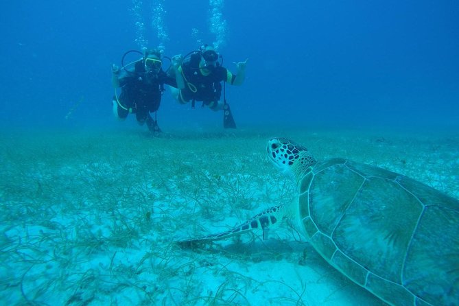 Discover Fajardo: 2-Tank Scuba Diving - Key points at a glance