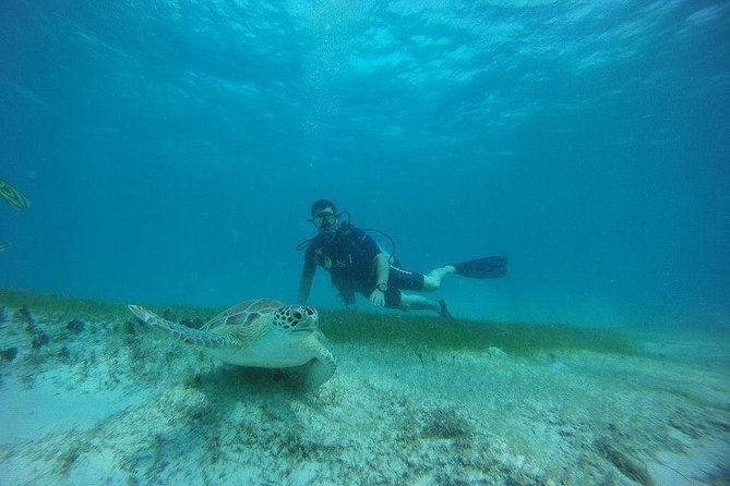 Discover Fajardo: 2-Tank Scuba Diving - Learning the basics before entering open water