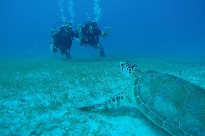 Discover Fajardo: 2-Tank Scuba Diving - Safety, health, and who should skip it