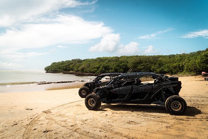 Discover Puerto Rico Like a Local 4 Hour Private Beach Escape - Key points at a glance