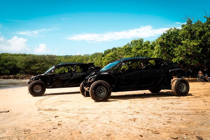 Discover Puerto Rico Like a Local 4 Hour Private Beach Escape - Starting at Ocean Park Beach