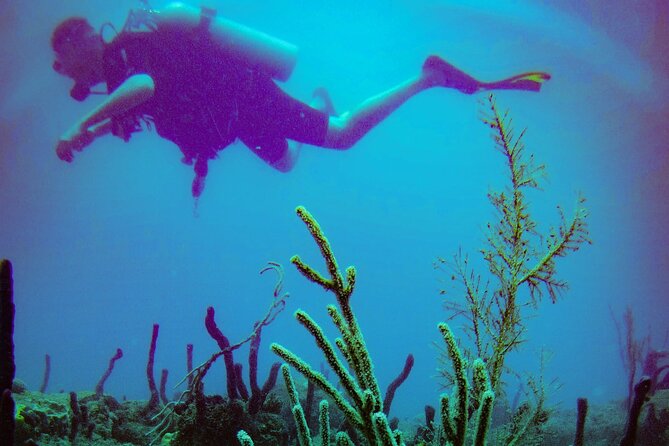 Discover Scuba Diving - How small groups affect the experience
