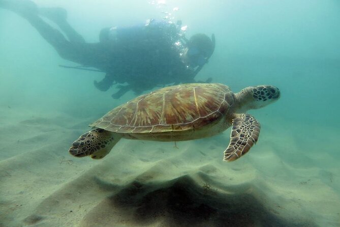 Discover Scuba Diving in San Juan - Starting at Escambrón Marine Park in San Juan