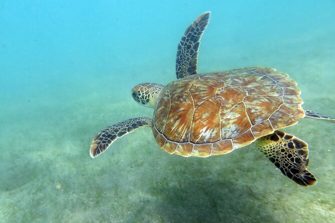 Discover Scuba Diving in San Juan - The safety lesson comes before the fish