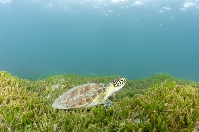 Discover Scuba Diving in San Juan - Gear, showers, lockers, and the easy practical details