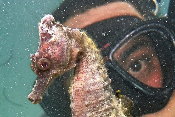 Discover Scuba Diving in San Juan - Is $185.50 a fair price?