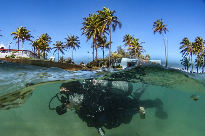 Discover Scuba Diving in San Juan - What the strongest experiences have in common