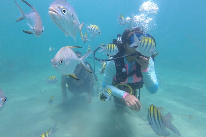 Discover Scuba Diving in San Juan: Perfect for First-Time Divers - Key points to know before you book