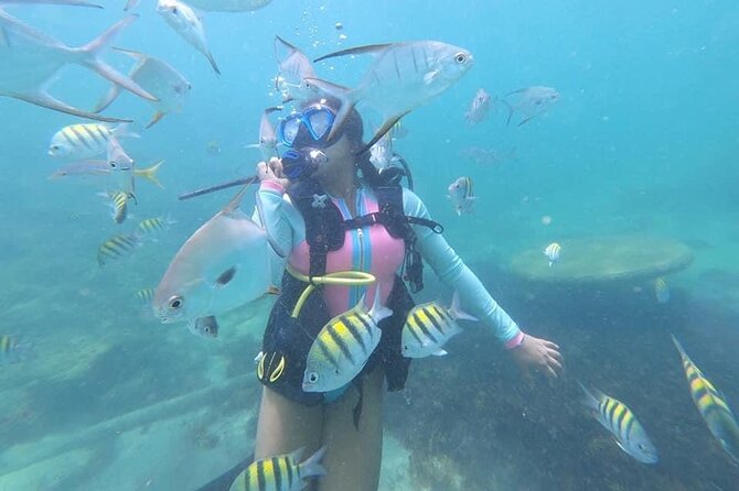 Discover Scuba Diving in San Juan: Perfect for First-Time Divers - Pool practice helps you get comfortable