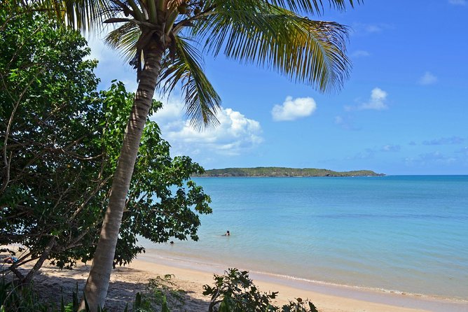 Discover Scuba Diving in San Juan: Perfect for First-Time Divers - Is this suitable for children and nervous beginners?