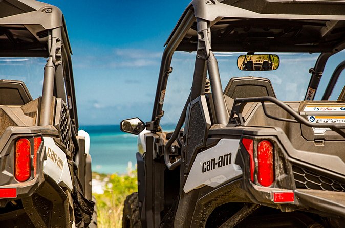 Dos Mares and Rainforest UTV Adventure Tour in Fajardo - Stop two: The rainforest edge near El Yunque