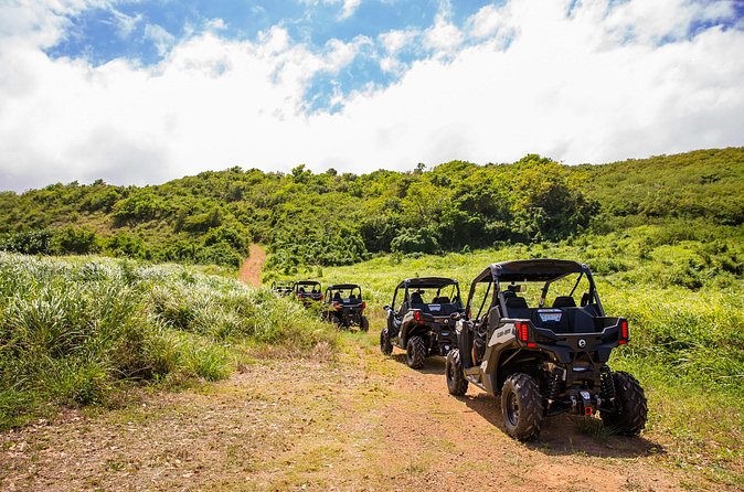 Dos Mares and Rainforest UTV Adventure Tour in Fajardo - Who will enjoy this ride most