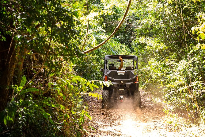 Dos Mares and Rainforest UTV Adventure Tour in Fajardo - Practical details that can shape your day