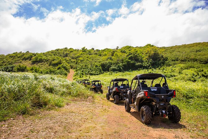 Dos Mares and Rainforest UTV Adventure Tour in Fajardo - Stop one: Laguna Grande and Fajardo’s glowing bay