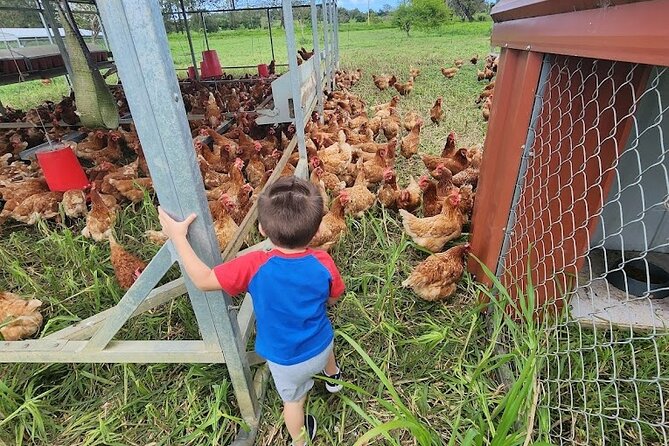 Eco Friendly Farming Tour to Explore Dorado's Most Beautiful Farm - What makes Finca Pastoreo different