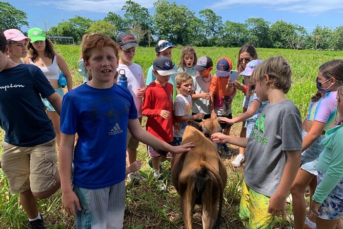 Eco Friendly Farming Tour to Explore Dorado's Most Beautiful Farm - Five stops, from hens to sheep