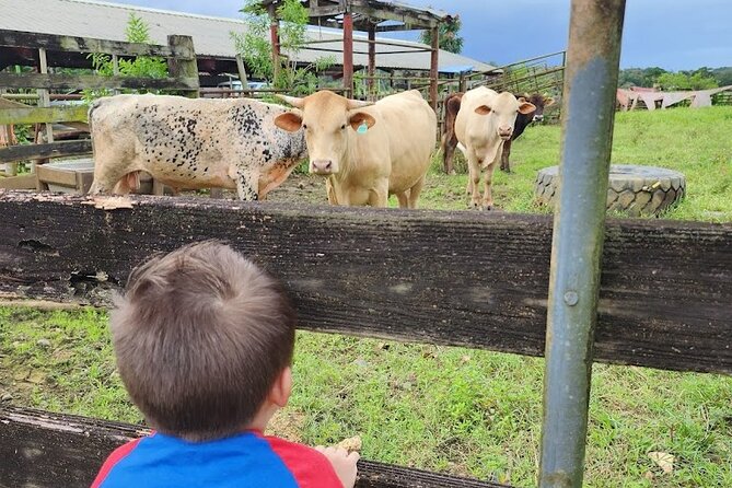 Eco Friendly Farming Tour to Explore Dorado's Most Beautiful Farm - The farm store is more than a finish line