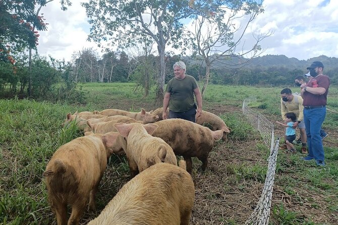 Eco Friendly Farming Tour to Explore Dorado's Most Beautiful Farm - Who will enjoy this farm visit most