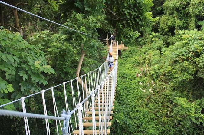 El Yunque Adventure Trail - The real value of the $139 price