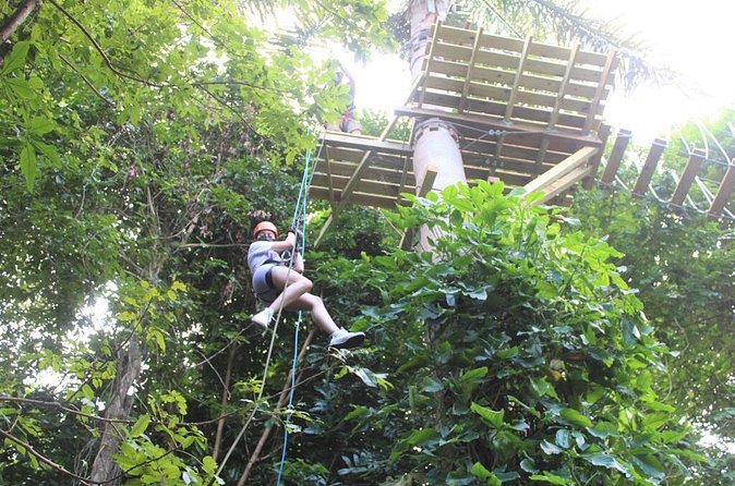 El Yunque Adventure Trail - Booking, weather, and practical details