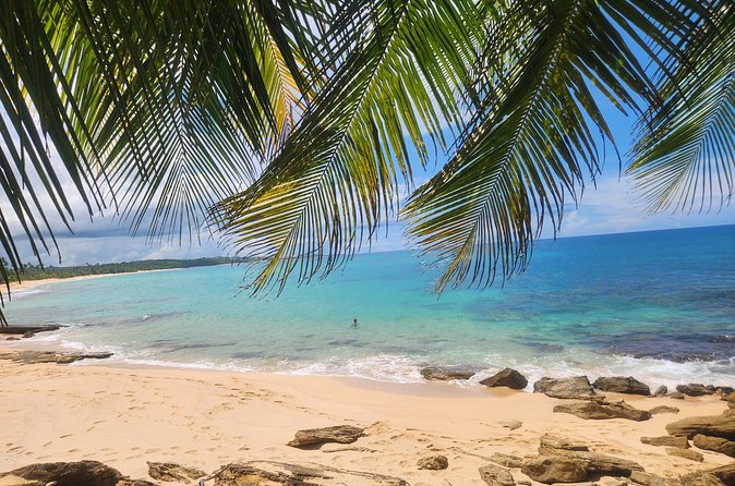 El Yunque & Beach Tour: Waterslide, Waterfall, Food, & Photos - The value of private transport and a private guide