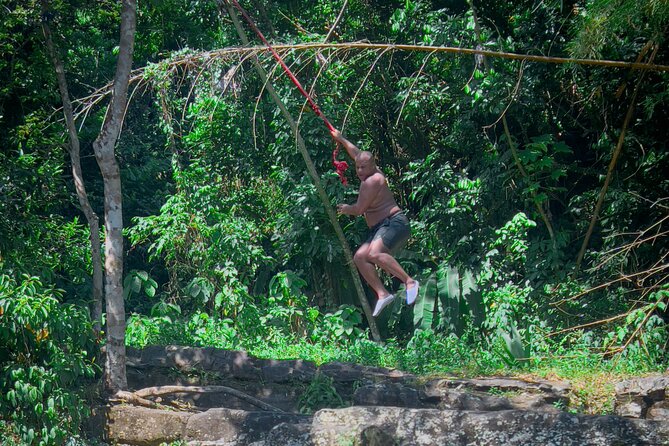 El Yunque Hike, Waterslide & Luquillo Kiosks Food with Transport - Transport that keeps the day simple