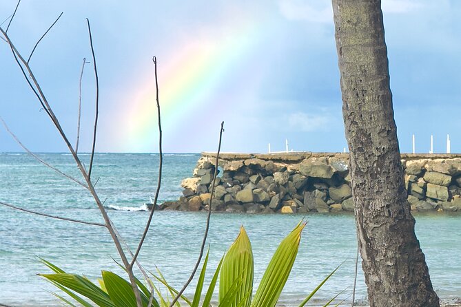 El Yunque Hike, Waterslide & Luquillo Kiosks Food with Transport - Who will enjoy this most?