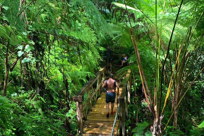 El Yunque National Forest and Luquillo Beach Combo - Quick take on the six-hour outing