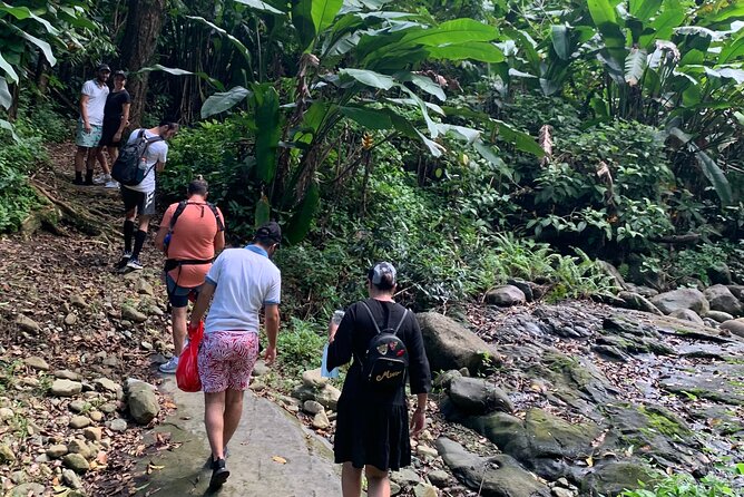 El Yunque National Forest and Luquillo Beach Combo - From San Juan to El Yunque in a small group