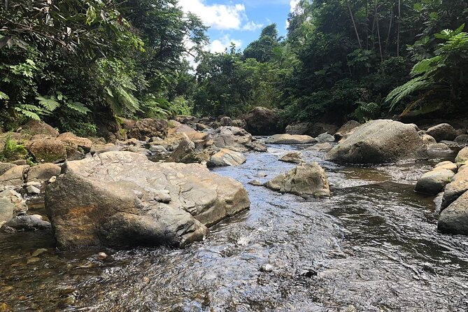 El Yunque National Forest and Luquillo Beach Combo - Is $79 a good value?