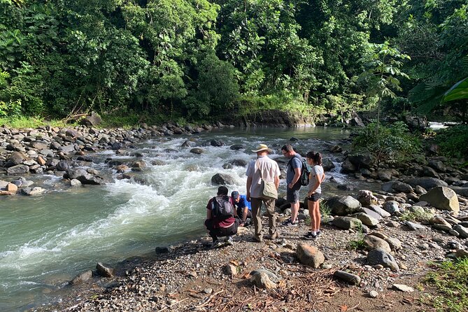 El Yunque National Forest and Luquillo Beach Combo - La Coca Falls, a ten-minute photo stop