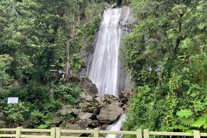 El Yunque National Forest and Luquillo Beach Tour - Yokahu Tower gives you the big picture