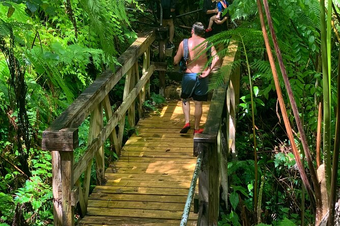 El Yunque National Forest and Luquillo Beach Tour - The guide can make or break the experience